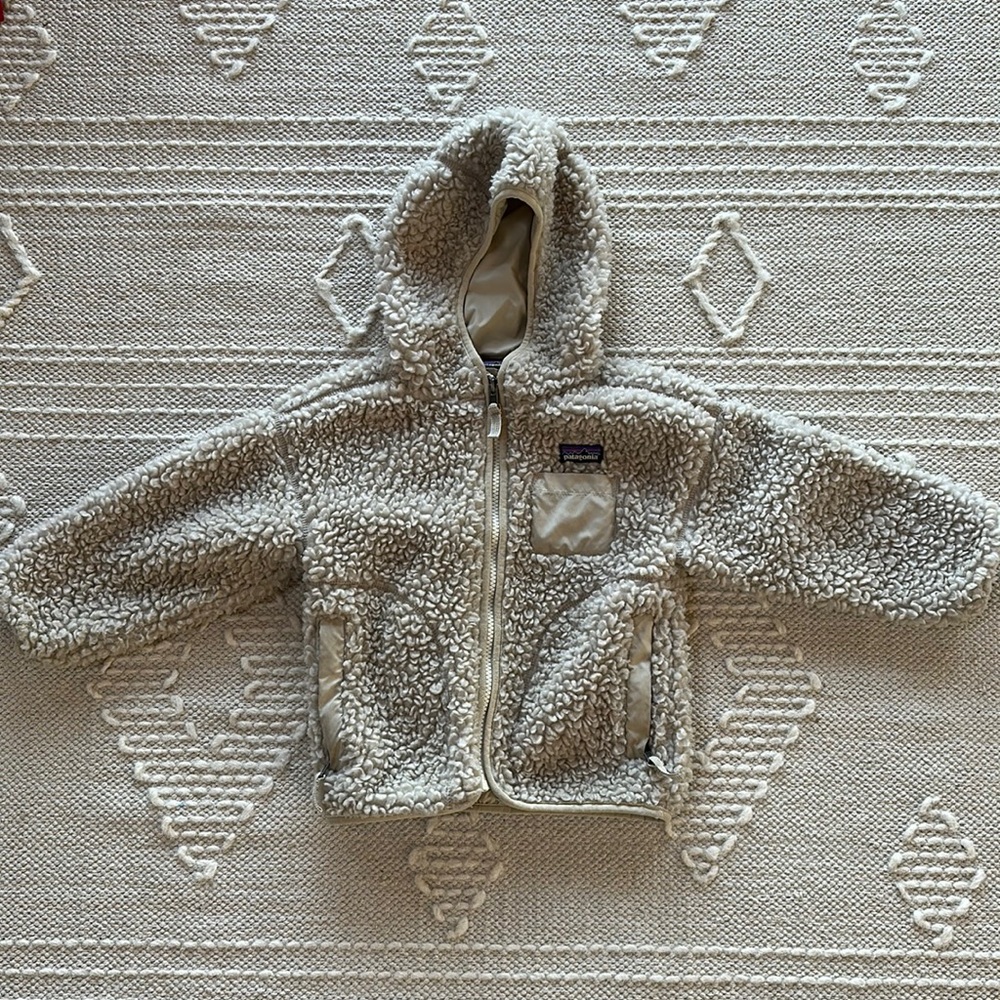 Patagonia Retro-X Hooded Jacket